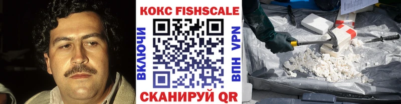 Кокаин Fish Scale  Новоузенск 