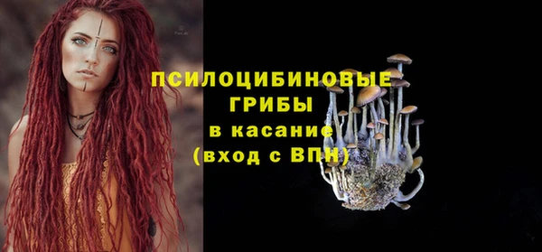 mdpv Богородицк