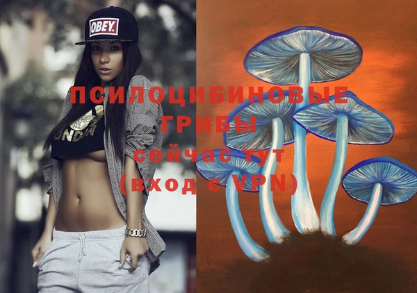 тгк Богородск