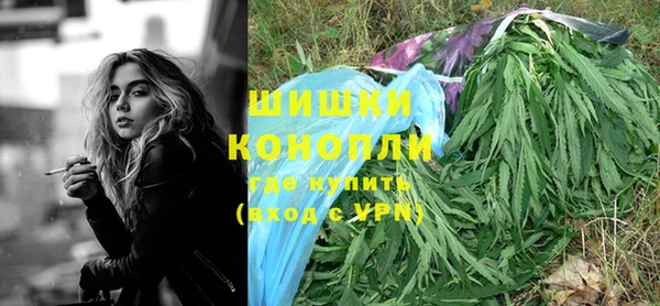 тгк Богородск