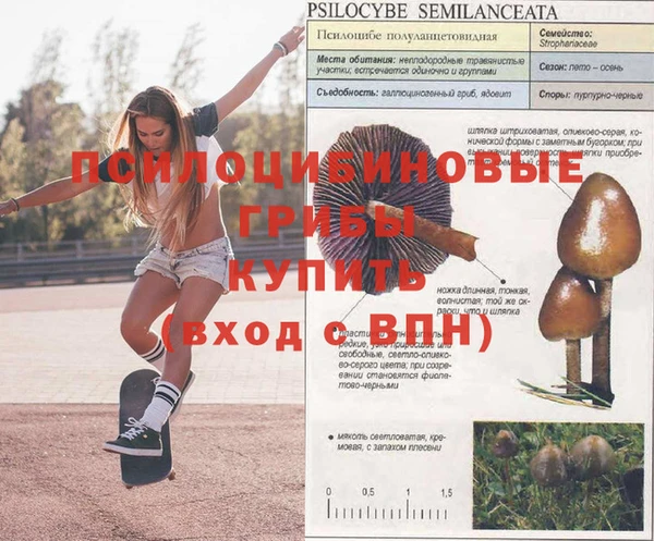 mdpv Богородицк