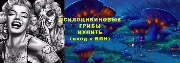 mdpv Богородицк