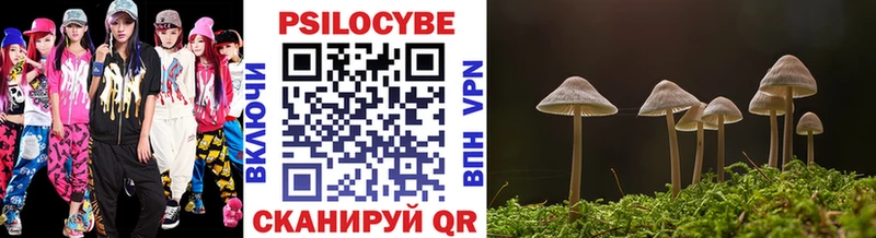 купить наркотик  Новоузенск  Псилоцибиновые грибы Psilocybe 